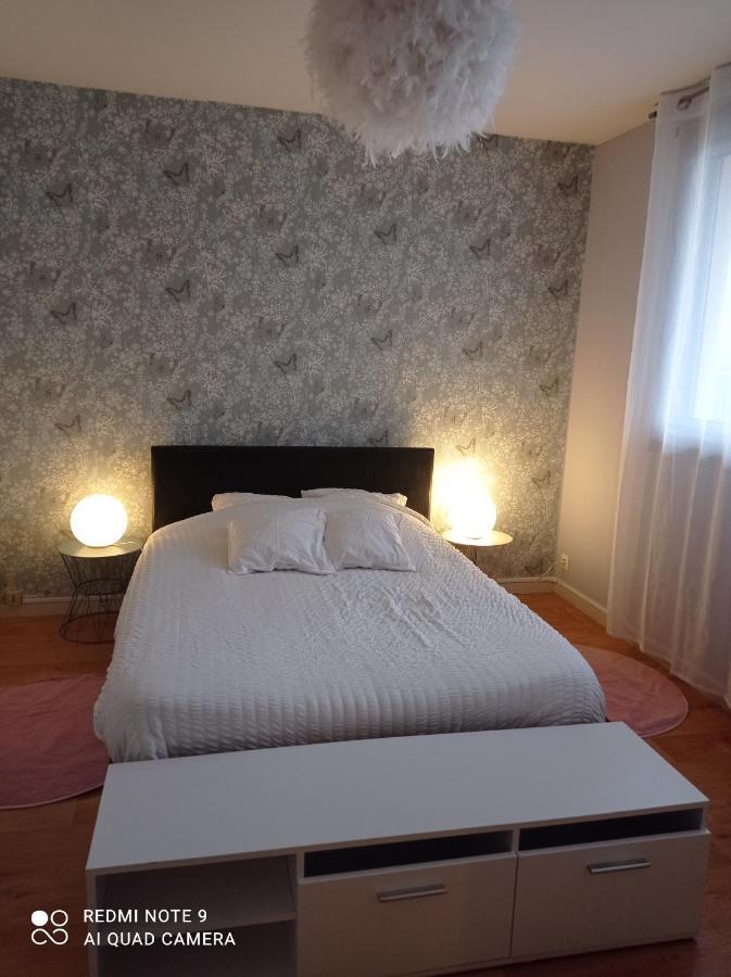 Le Cosy Apartment Vichy Exterior photo